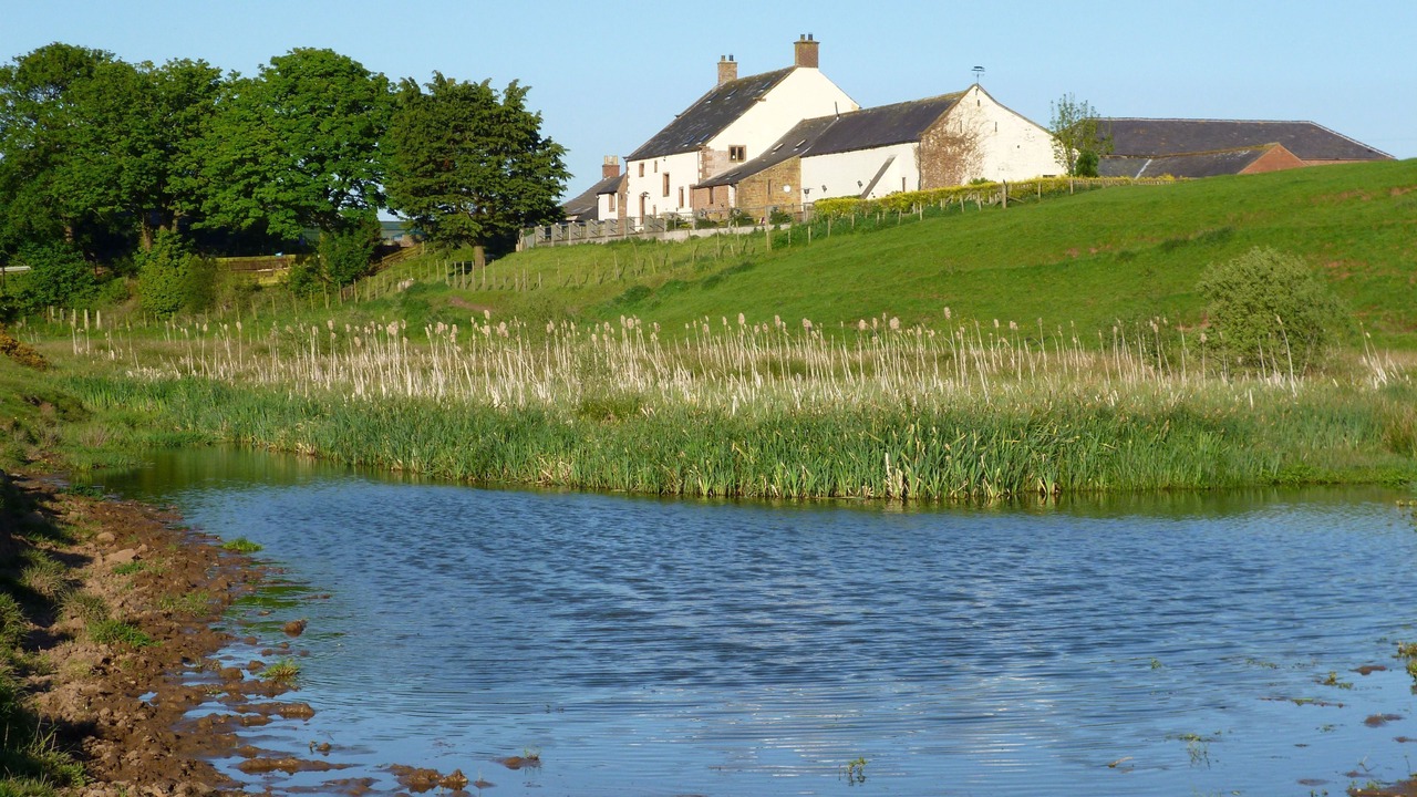 Photo of Outdoor in Wing