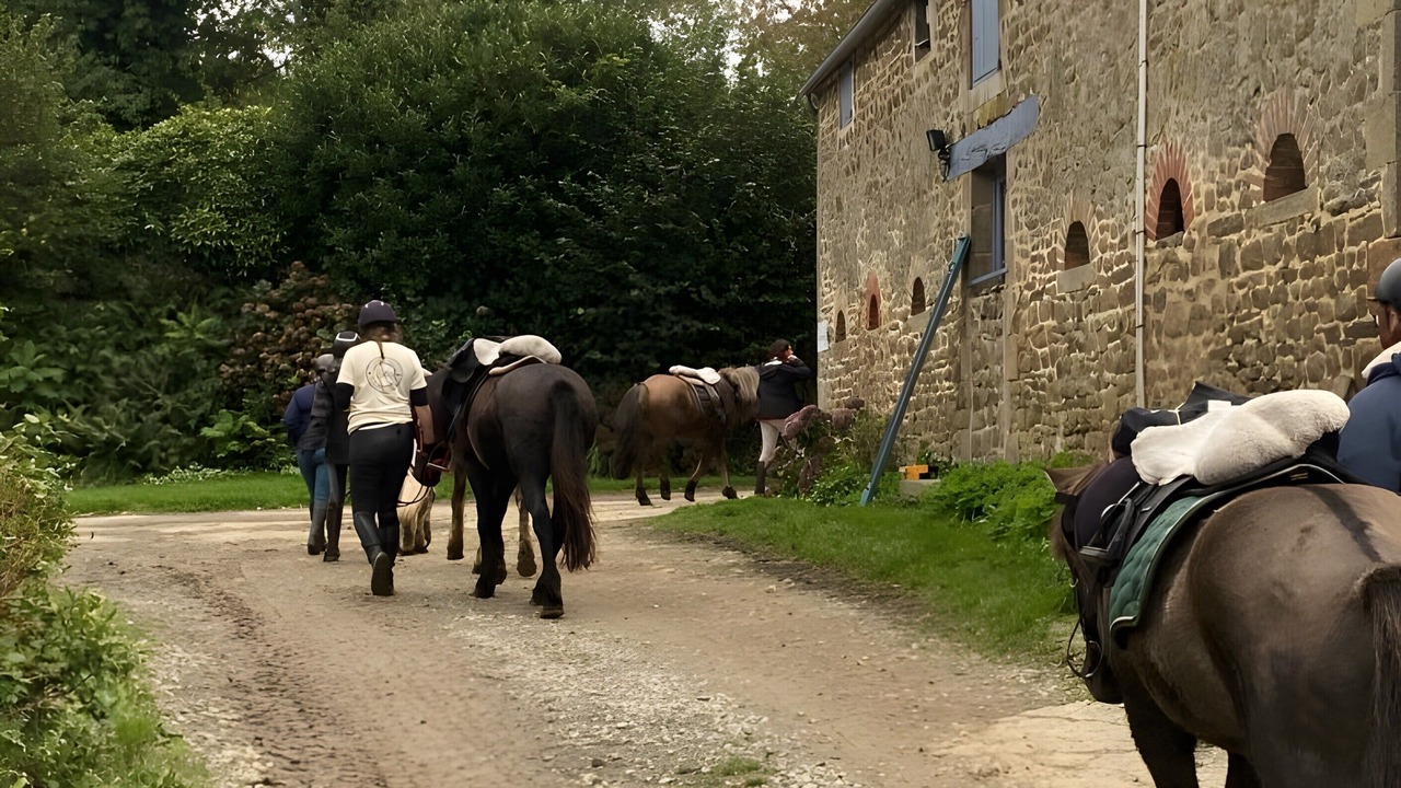 Photo of Others in La Chapelle-Janson