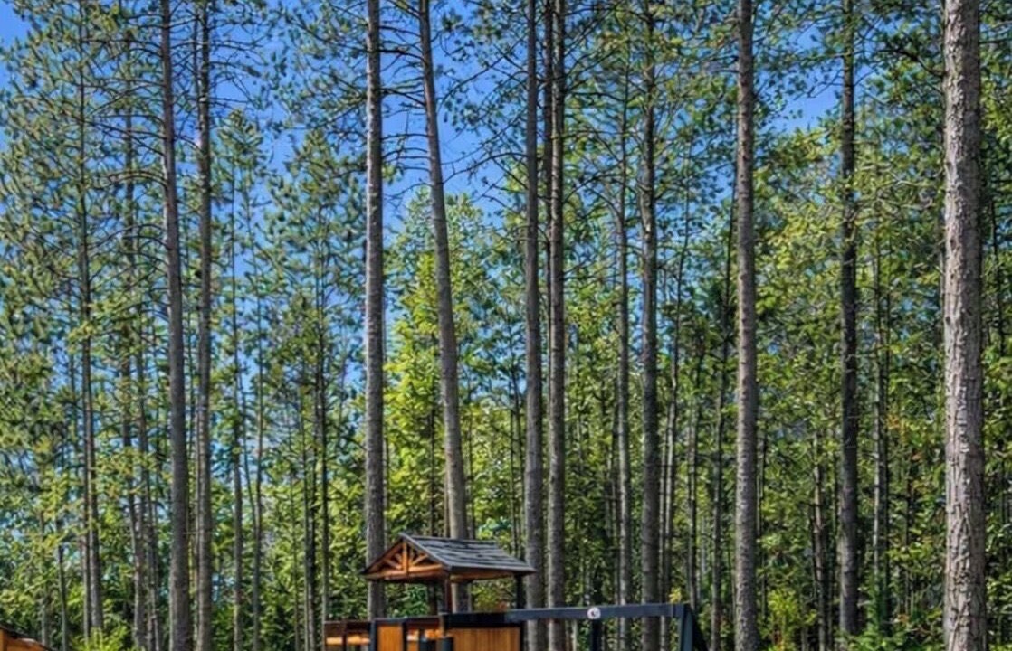 Photo of Others in Madawaska Valley