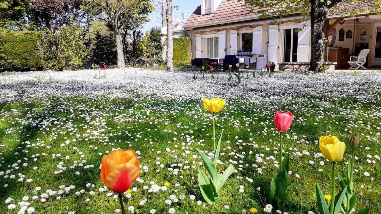 Photo of Outdoor in Mandres-les-Roses