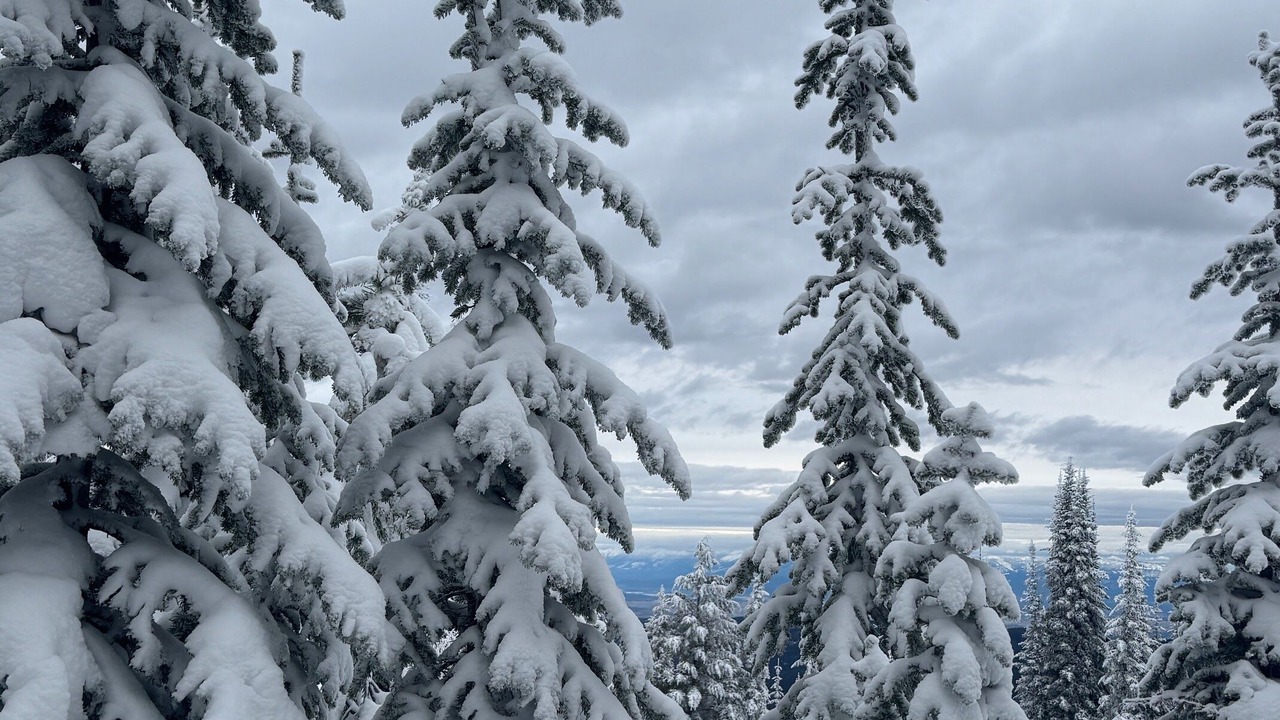 Photo of Others in Polson