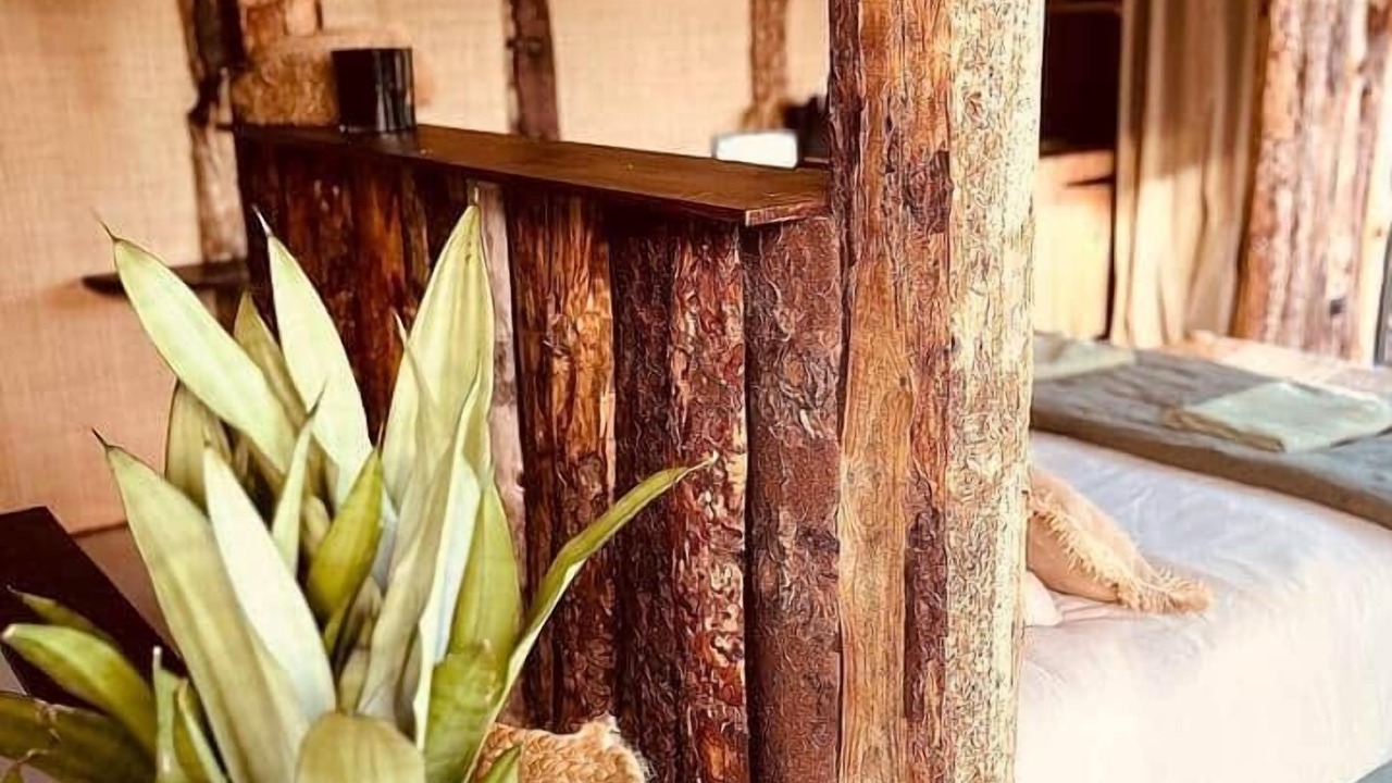 Photo of Bedroom in Mauguio
