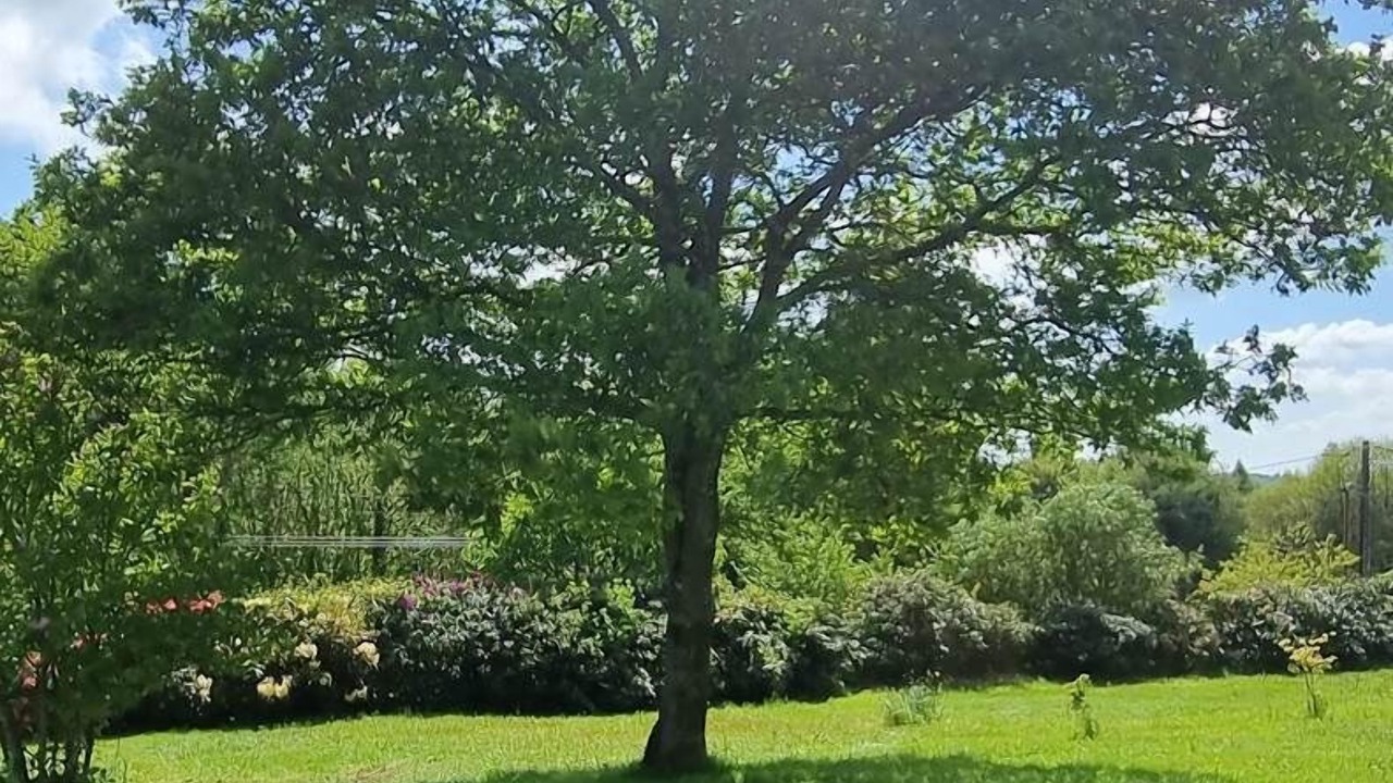 Photo of Others in Le Faouet