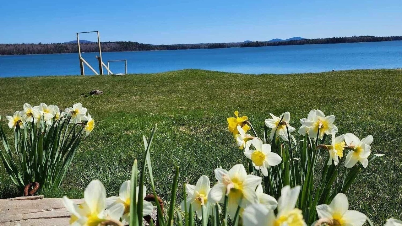 Photo of Outdoor in Lamoine