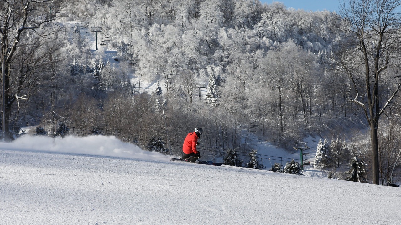 Photo of Others in Seven Springs