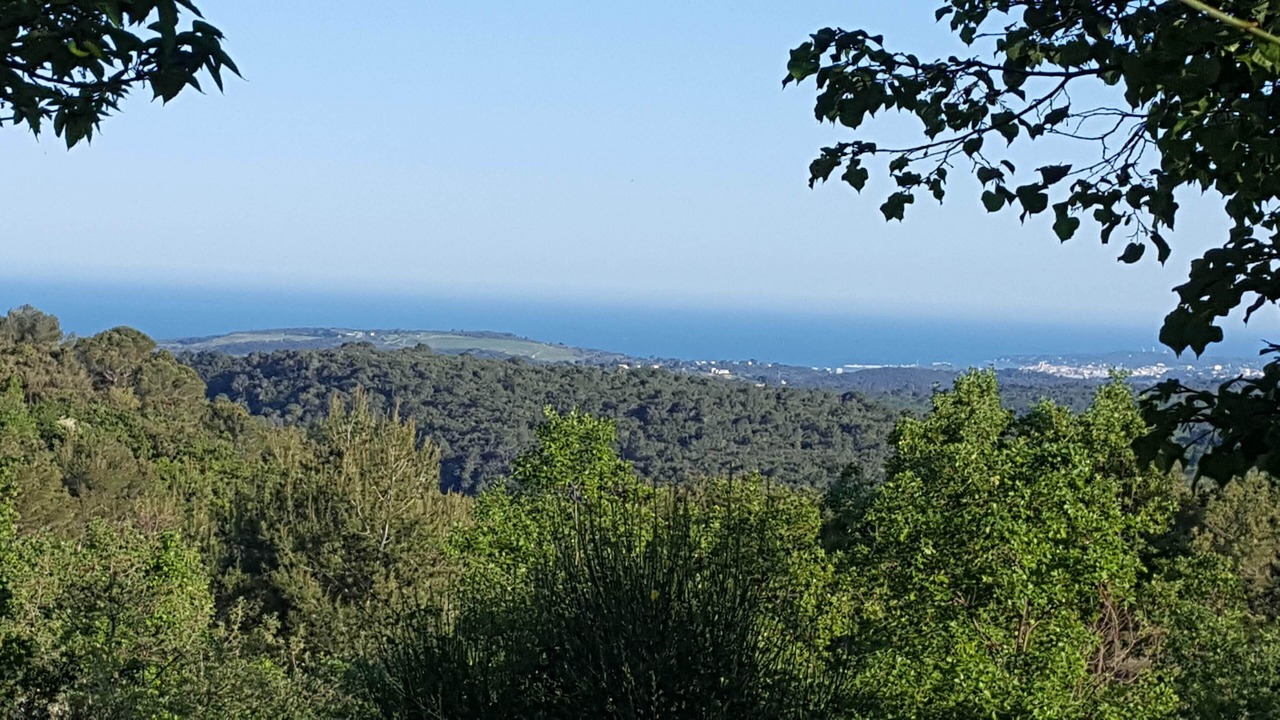 Photo of Others in Tourrettes-sur-Loup
