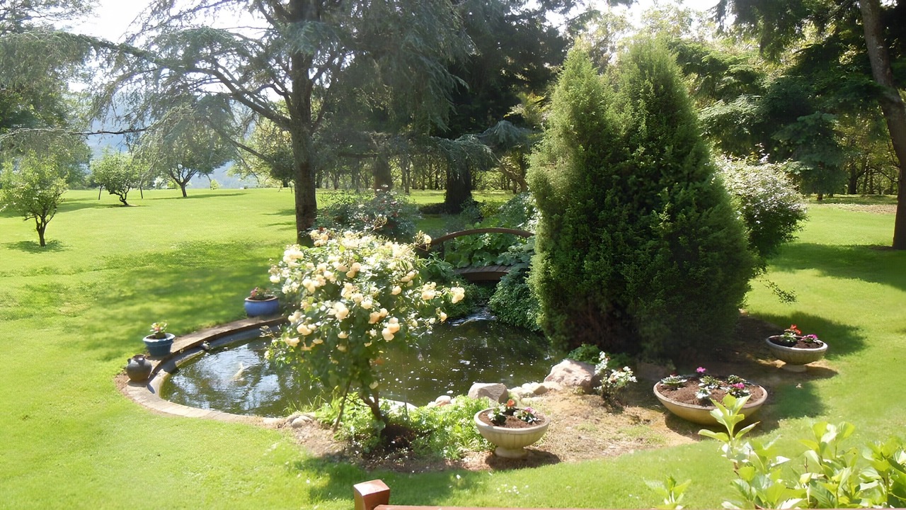 Photo of Outdoor in Saint-Denis-les-Martel