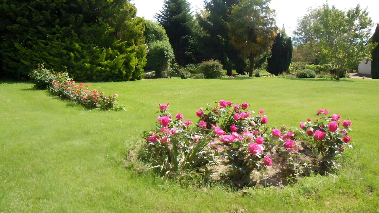 Photo of Outdoor in Saint-Denis-les-Martel