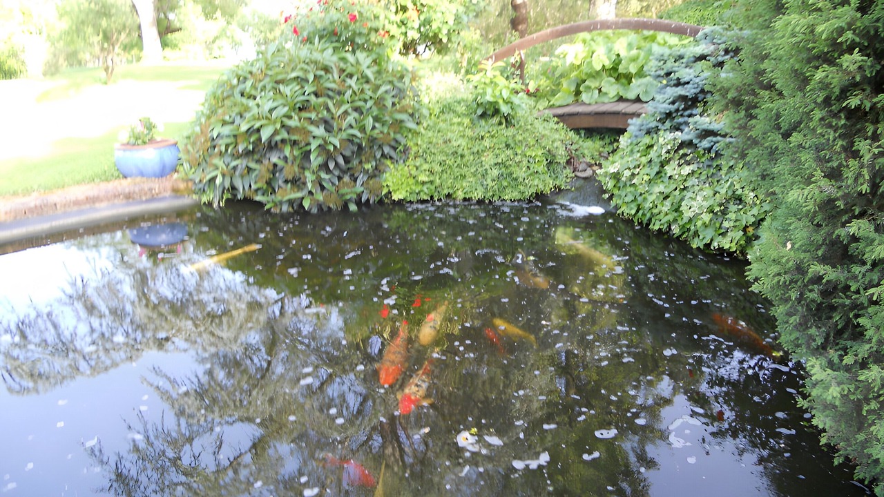 Photo of Outdoor in Saint-Denis-les-Martel