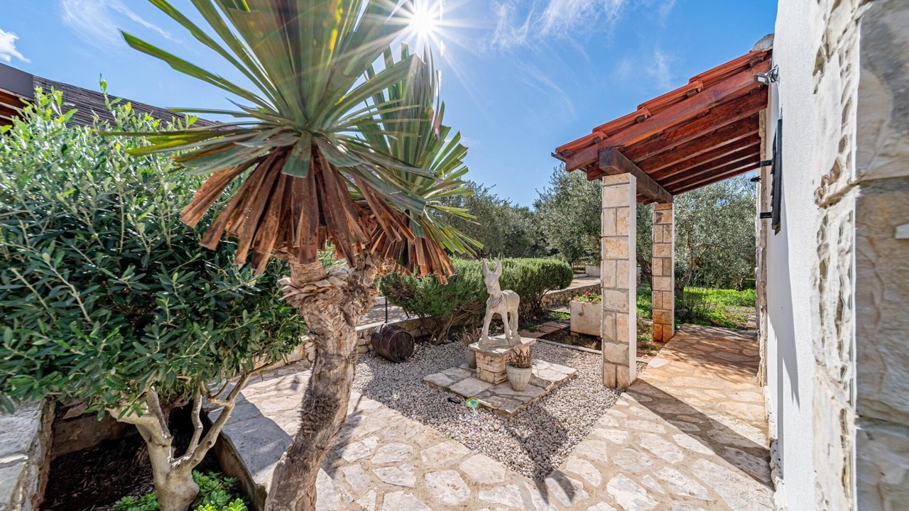 Photo of Outdoor in Potirna
