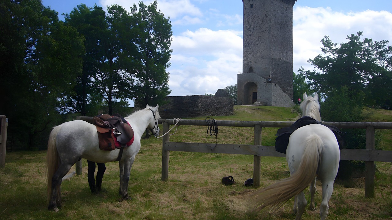 Photo of Others in Curan