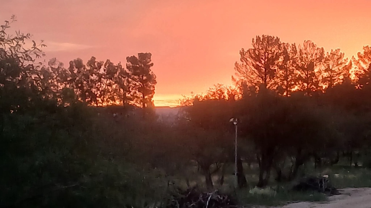 Photo of Others in Sierra Vista Southeast