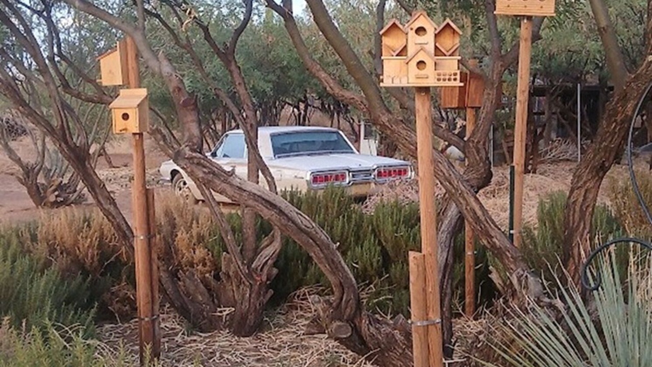 Photo of Outdoor in Sierra Vista Southeast