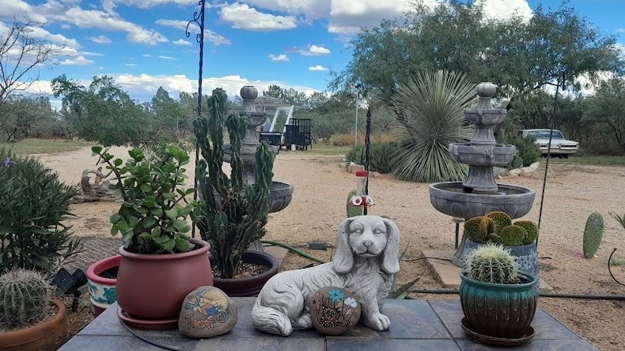 Photo of Outdoor in Sierra Vista Southeast
