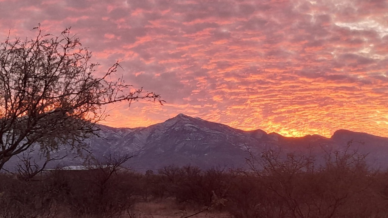 Photo of Others in Sierra Vista Southeast