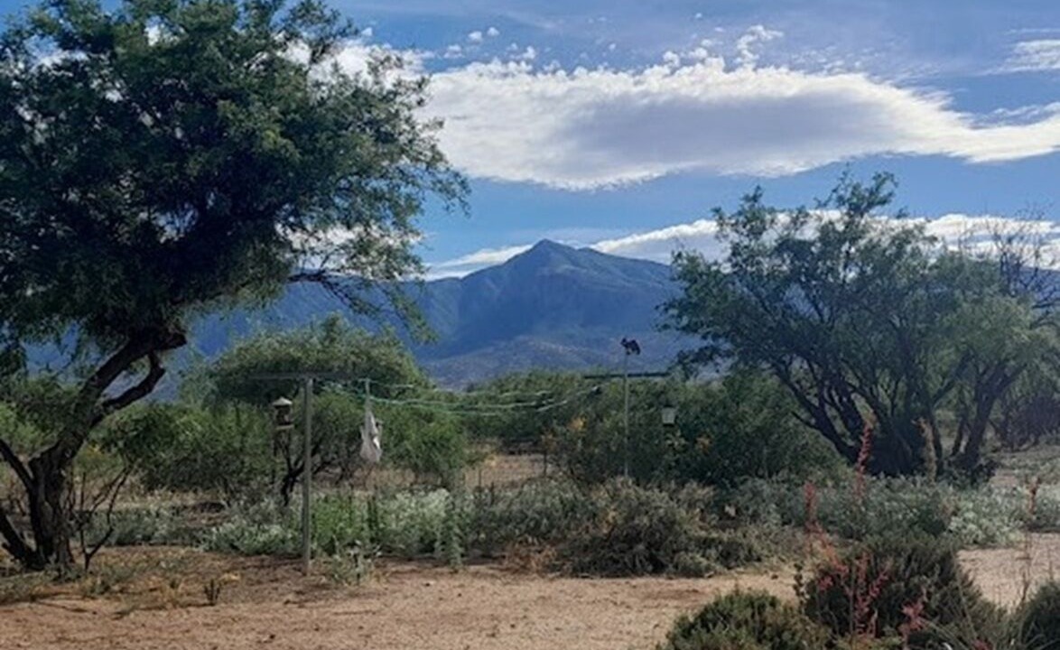 Photo of Others in Sierra Vista Southeast
