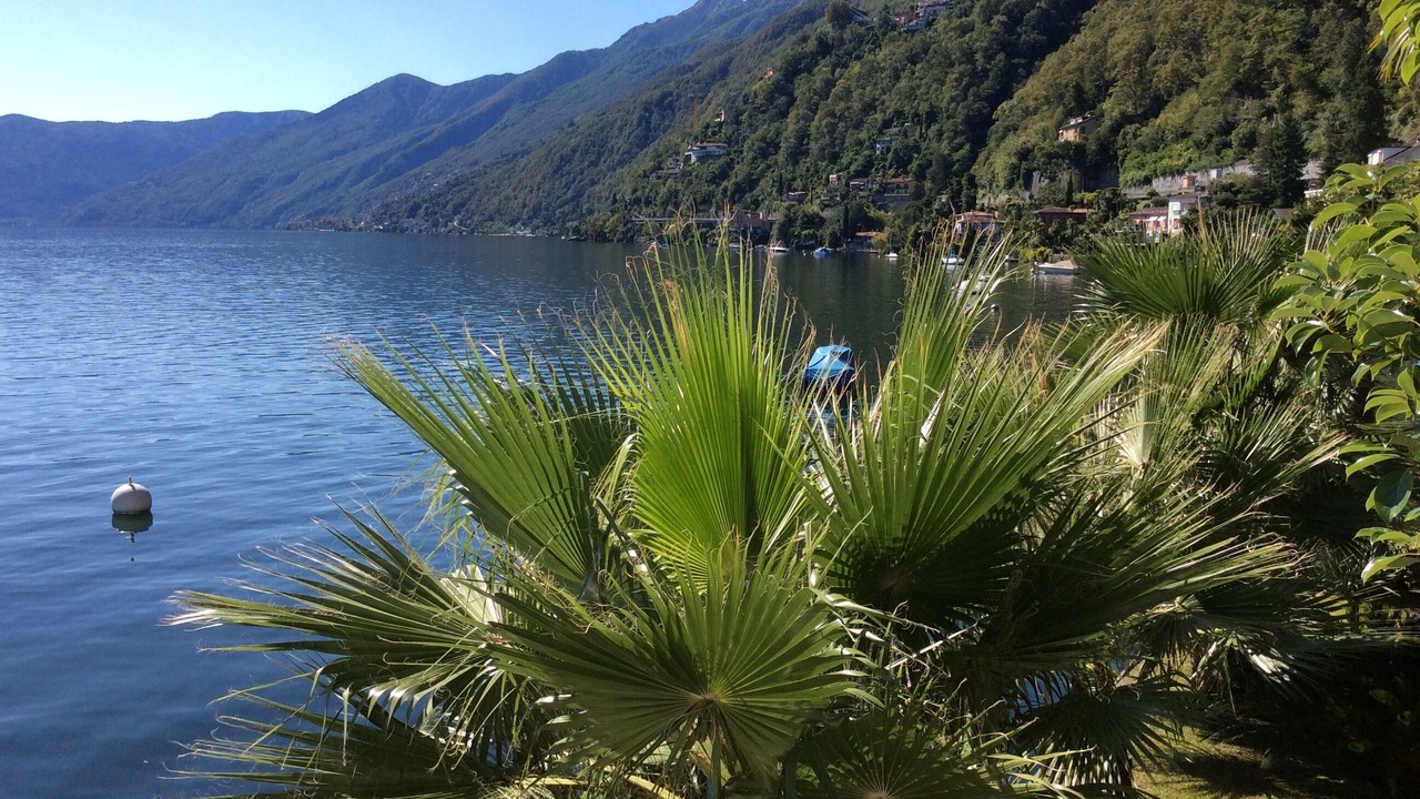 Photo of Others in Ronco sopra Ascona