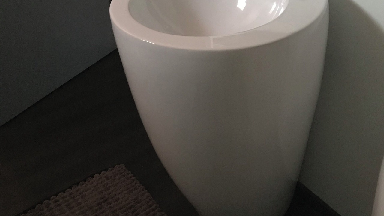 Photo of Bathroom in Puechoursi