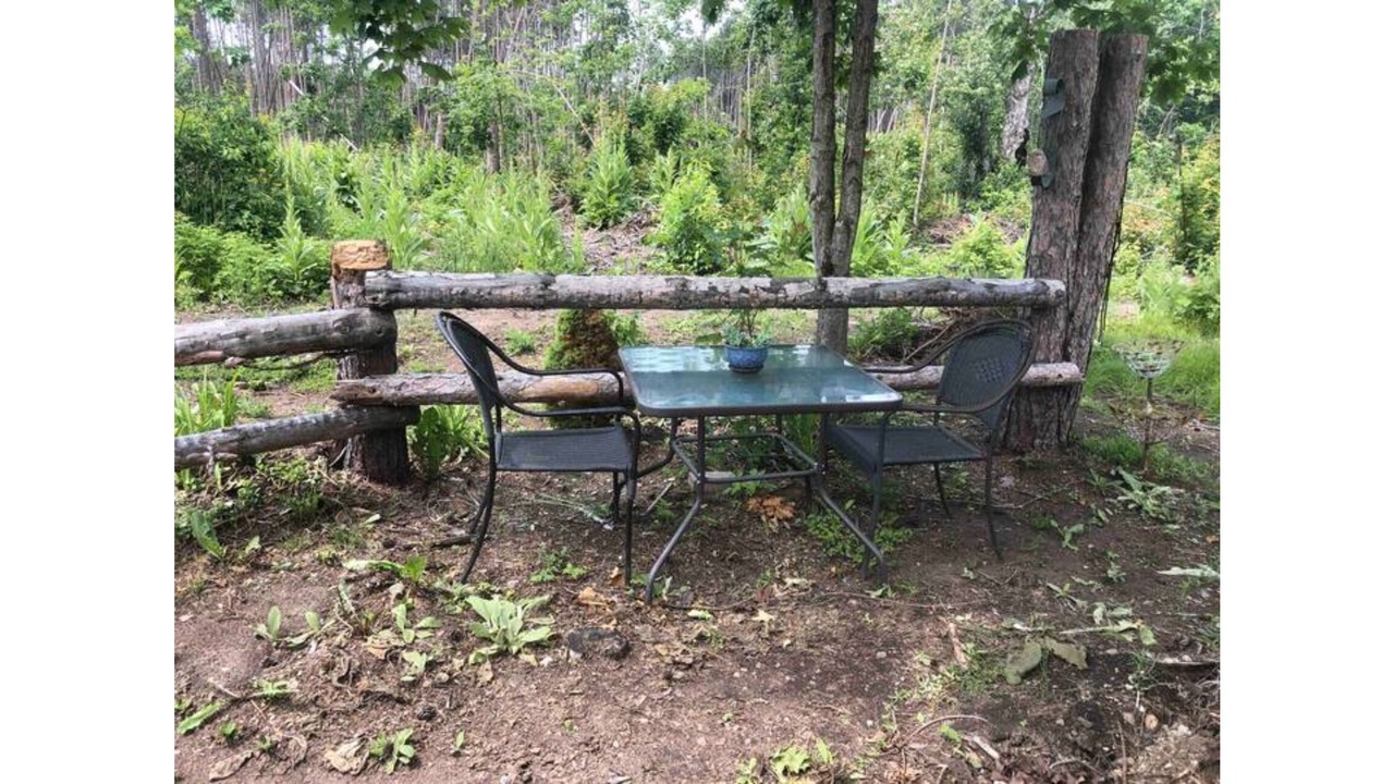 Photo of Outdoor in Scugog
