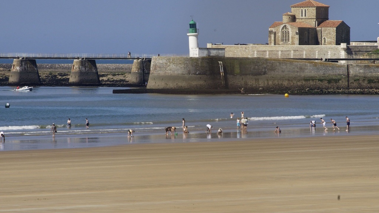 Photo of Others in Chateau-d'Olonne