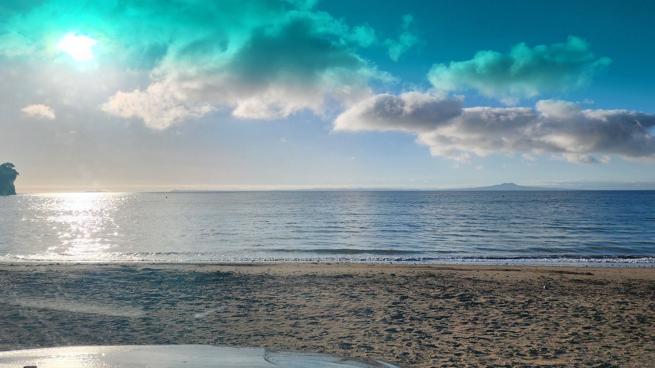 Photo of Others in Arkles Bay