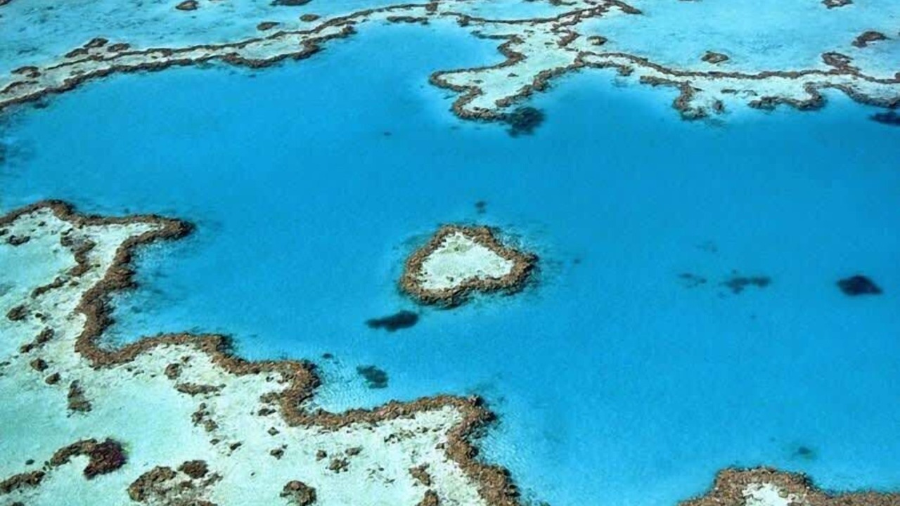 Photo of Others in Jubilee Pocket