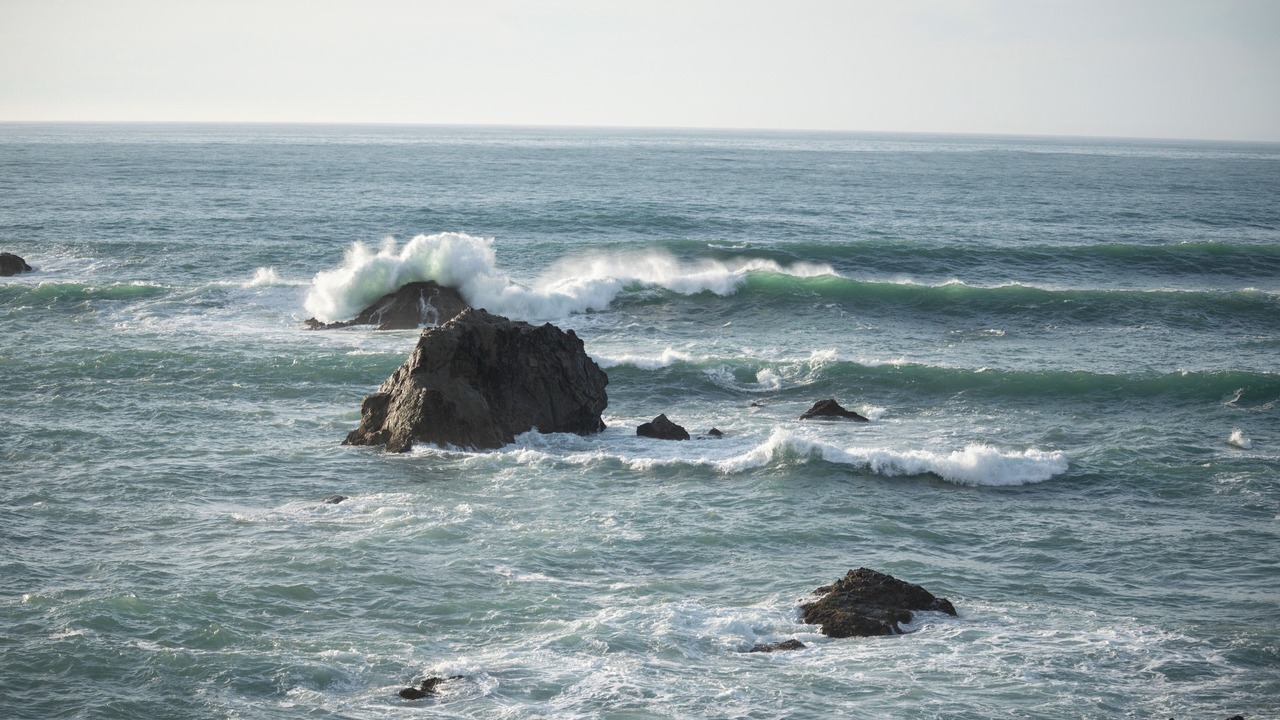 Photo of Others in Westport