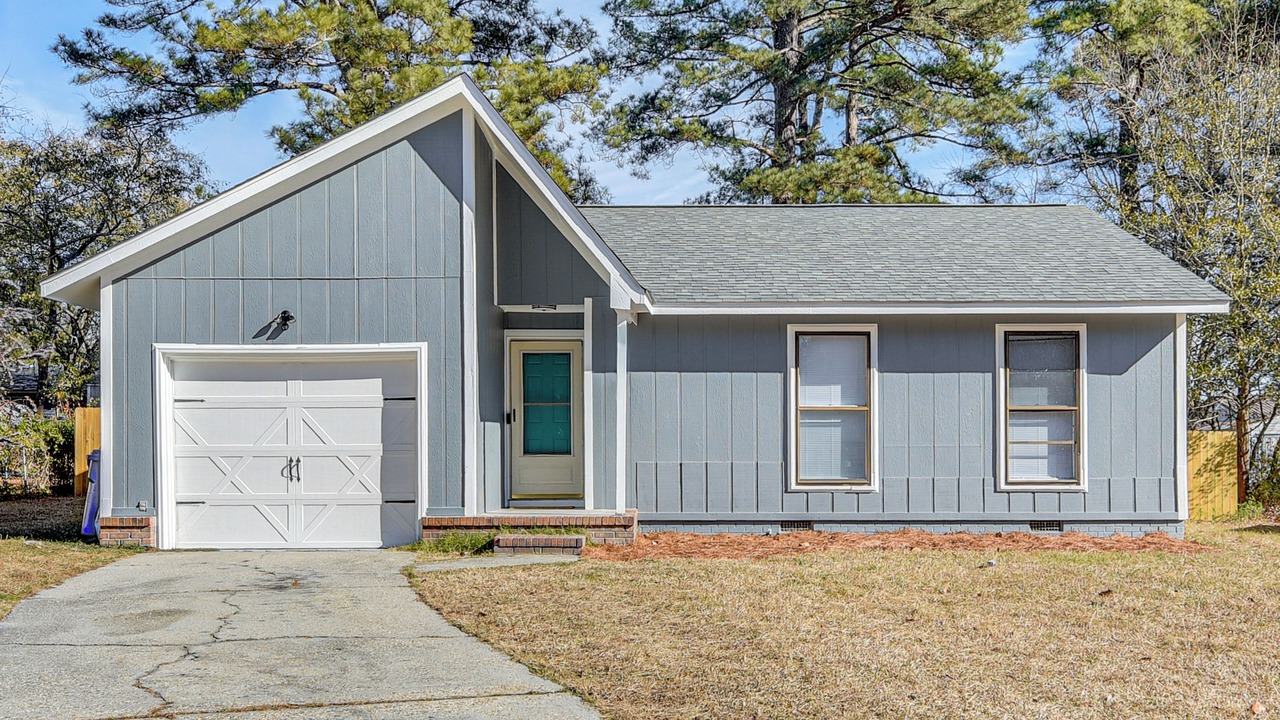 Photo of Outdoor in Pine Forest
