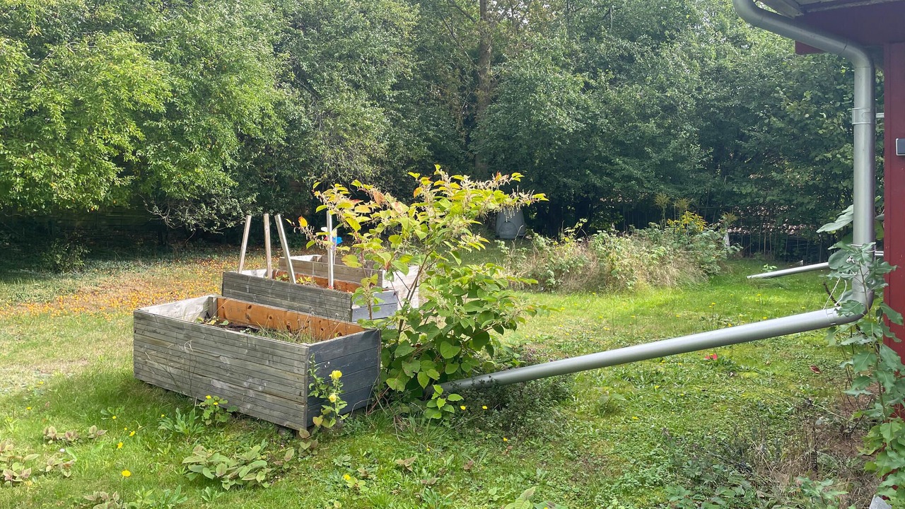 Photo of Others in Or