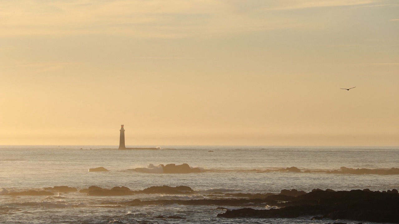 Photo of Others in Les Sables d'Olonne
