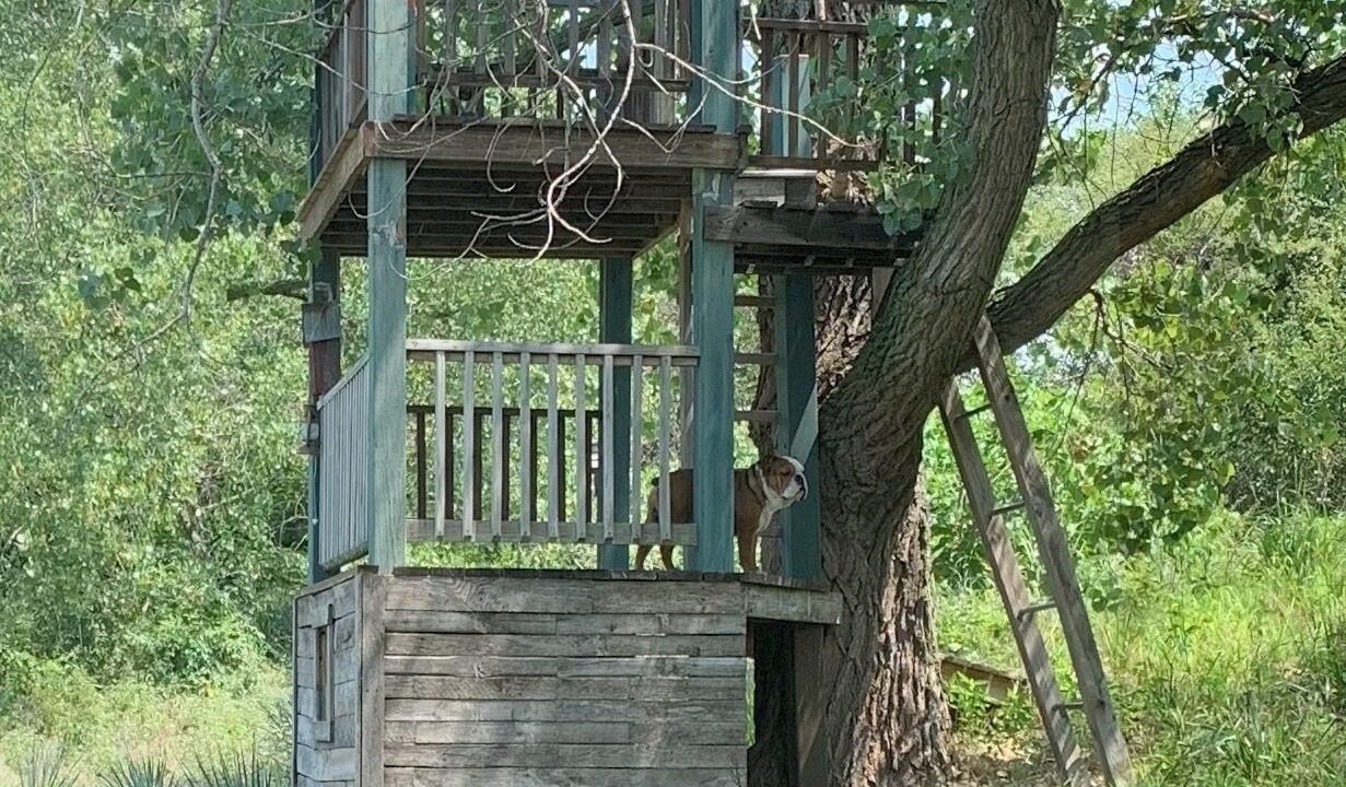 Photo of Others in Hutchinson