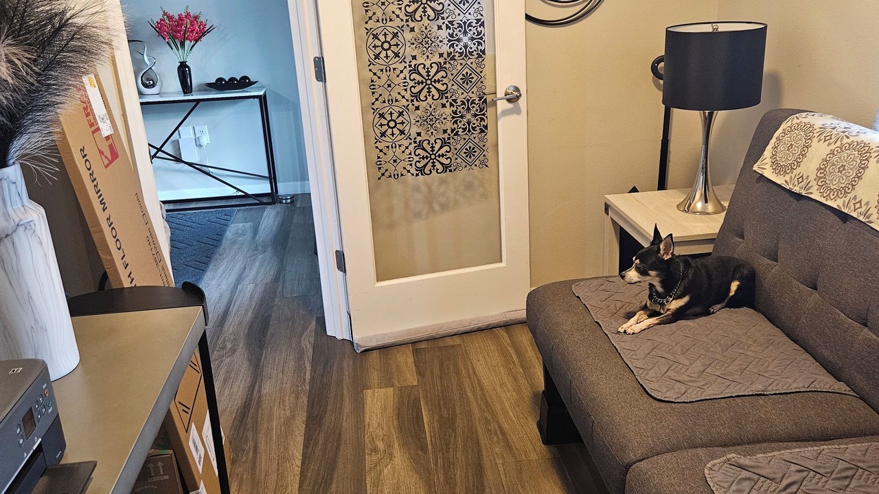 Photo of Livingroom in Spring Hill
