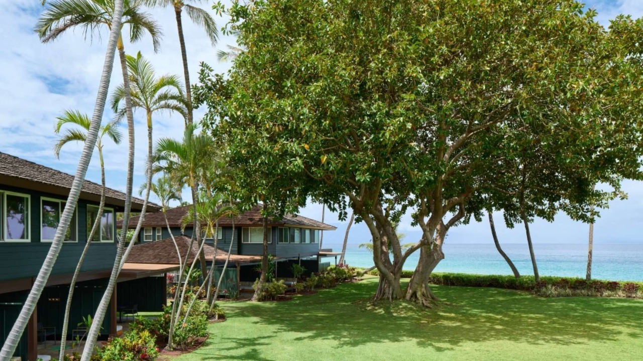 Photo of Others in Kaanapali