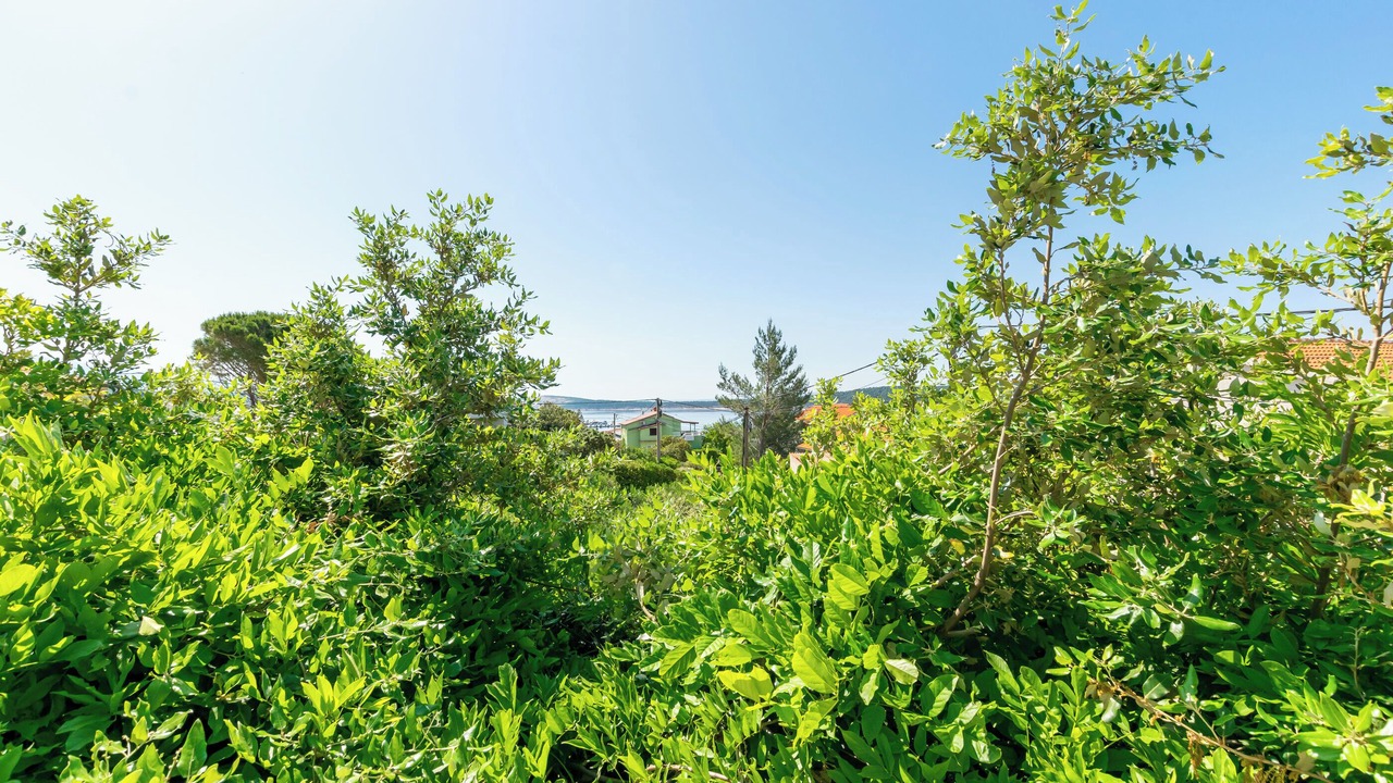 Photo of Outdoor in Rab