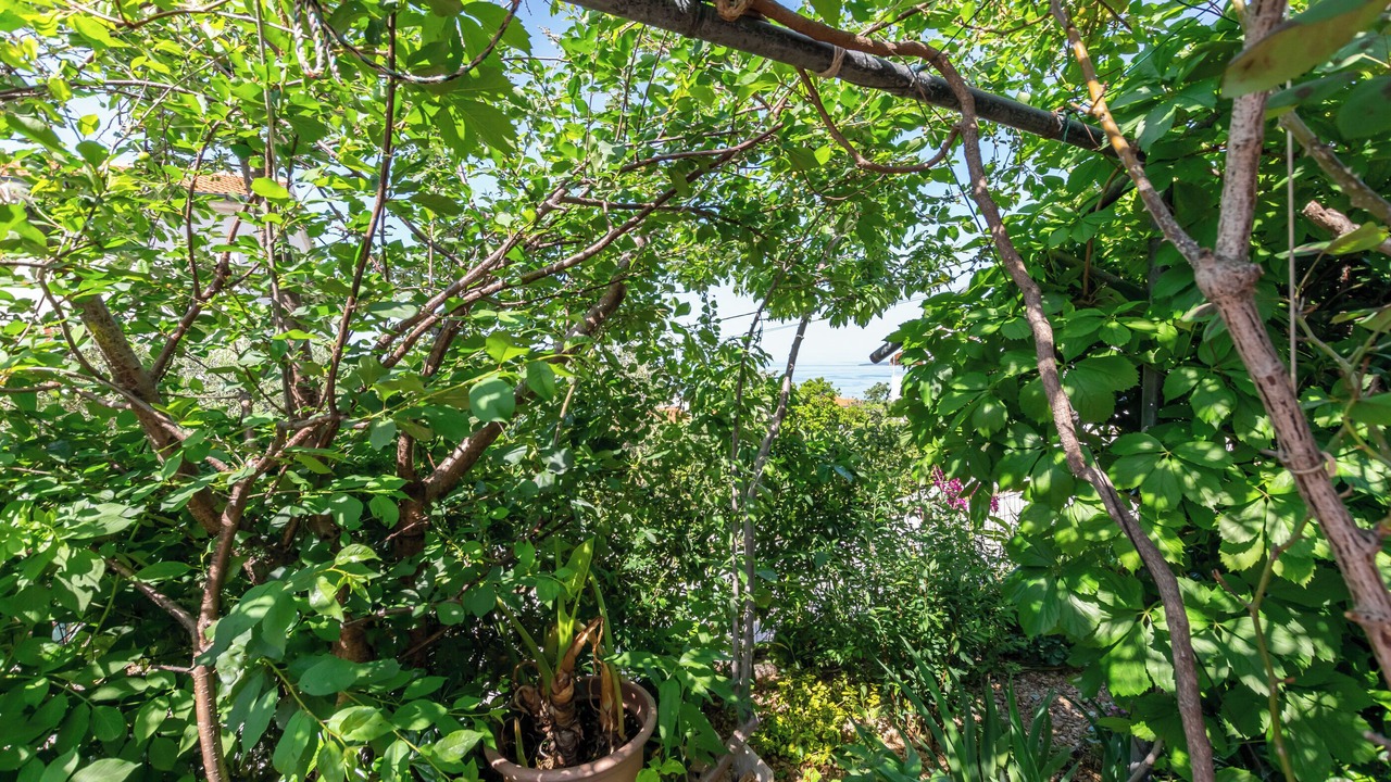 Photo of Outdoor in Rab
