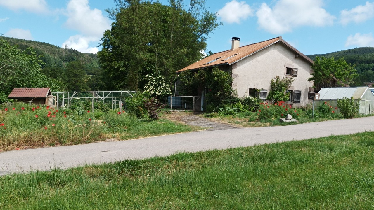 Photo of Outdoor in Laveline-du-Houx