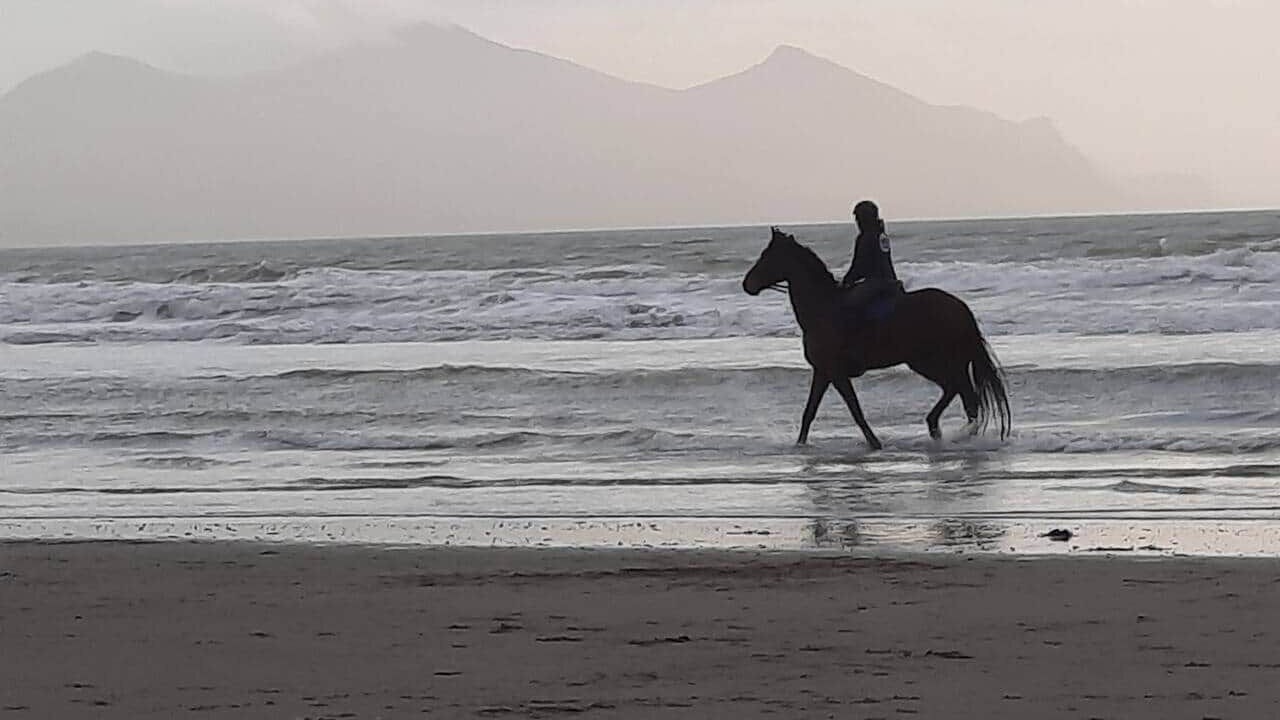 Photo of Others in Dinas Dinlle