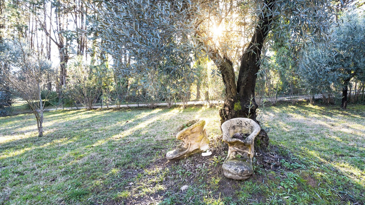 Photo of Outdoor in Salavas