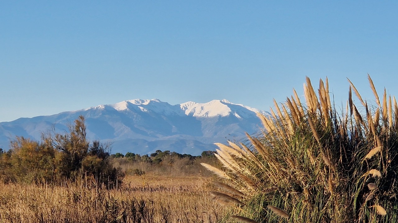 Photo of Others in Les Hauts de Canet