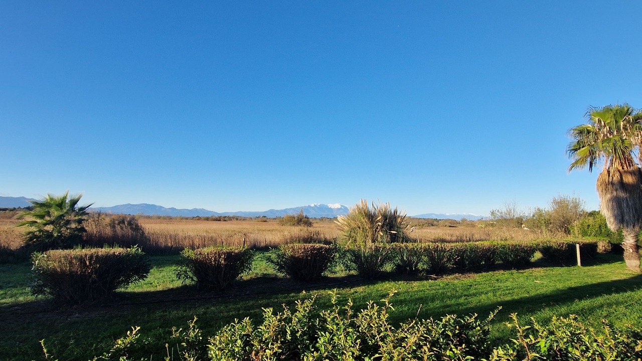 Photo of Others in Les Hauts de Canet