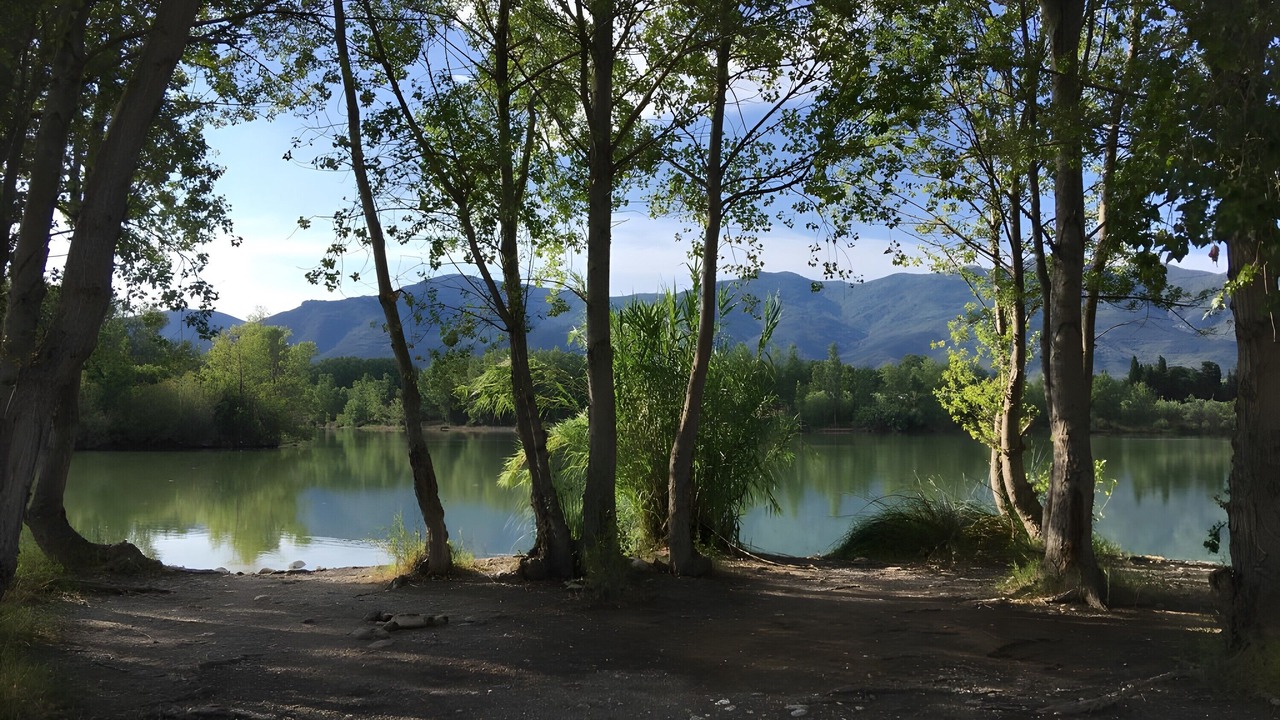 Photo of Others in Villelongue-dels-Monts
