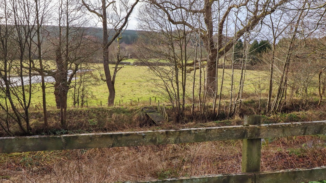 Photo of Outdoor in Falstone