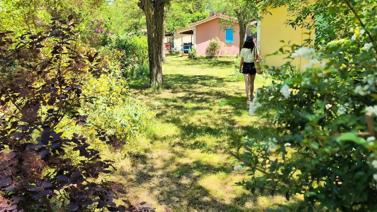 Photo of Outdoor in Montlaur