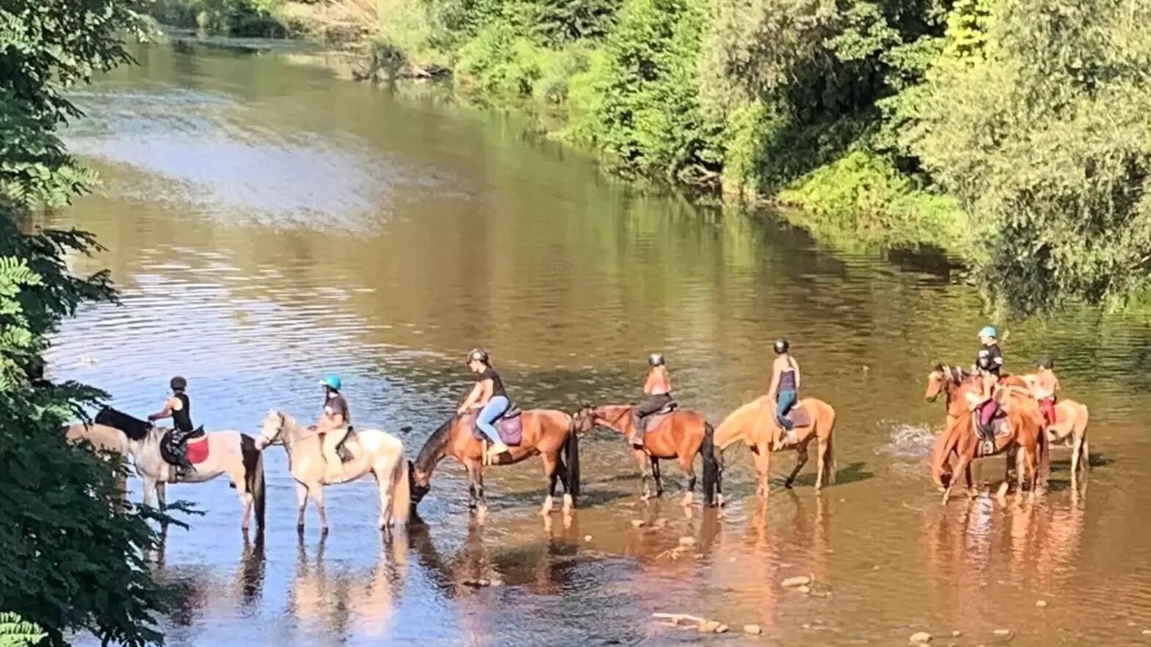 Photo of Others in Montlaur