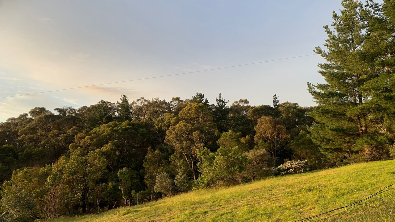 Photo of Others in Cottles Bridge