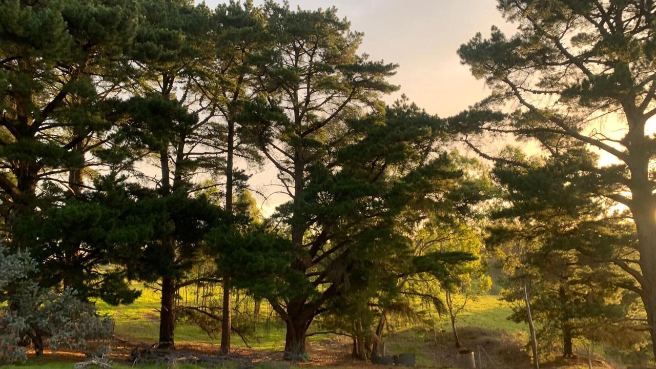 Photo of Others in Cottles Bridge