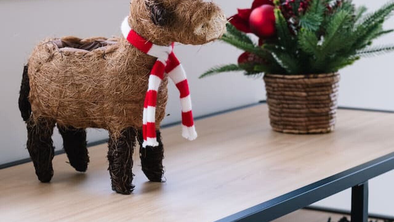 Photo of Others in Brisbane