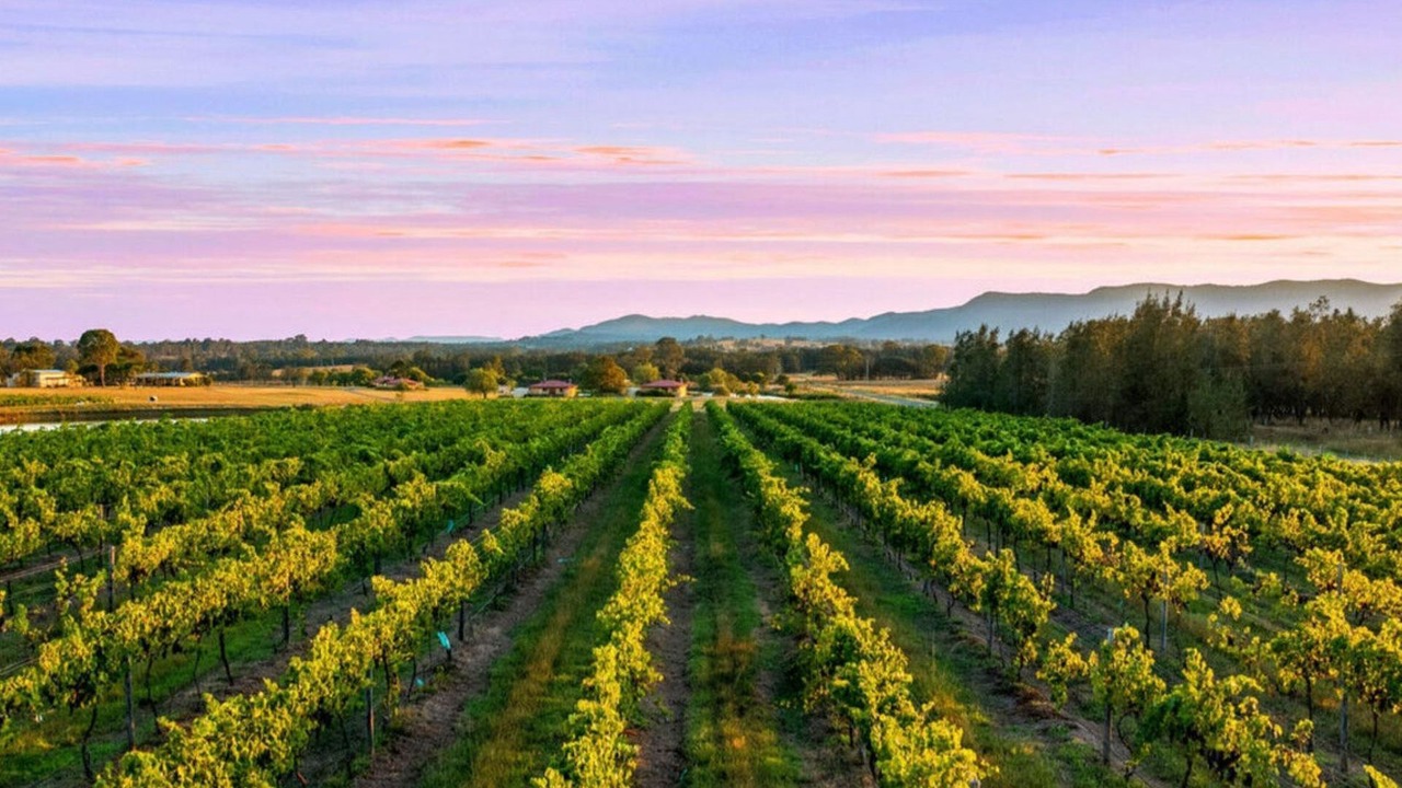 Photo of Others in Rothbury