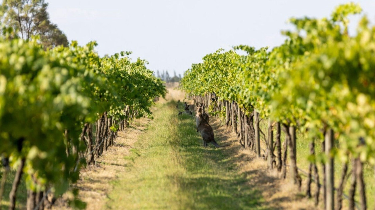 Photo of Others in Rothbury