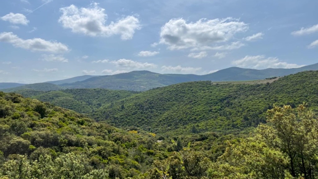 Photo of Others in Roquebrun